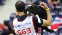 agility I Denis Giovanelli s border kolii Easy Peasy
